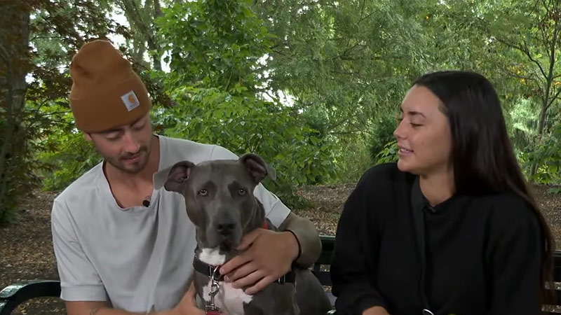 Dog named Joey Votto gets adopted after being fostered by Reds' Jonathon  India and girlfriend