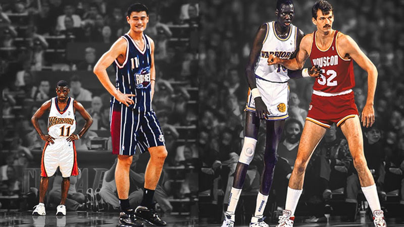 Top 10 Tallest NBA Basketball Players Towering Legends Of The Court 