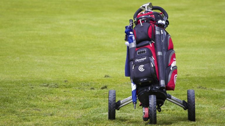 Who Should Use Petite Golf Clubs? - Metro League