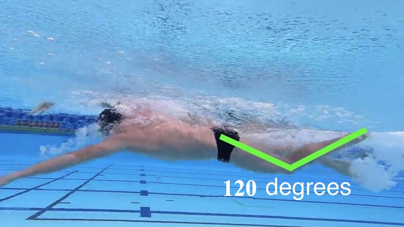 Do You Bend Your Knees When Swimming? - Metro League