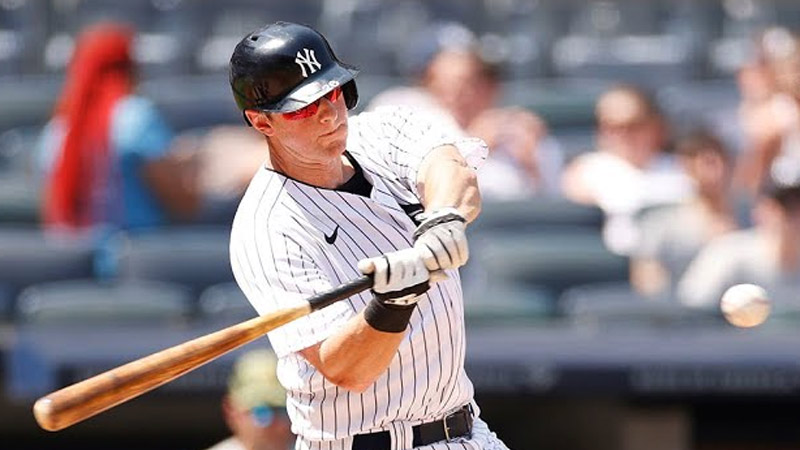 DJ LeMahieu Net Worth 2022, Age, Wife, Children, Height, Family, Parents,  Salary, Contract - Apumone